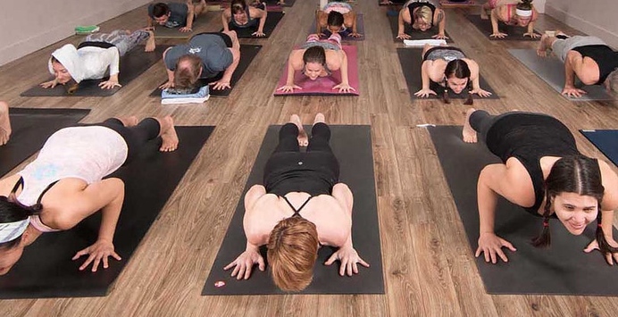 Intro to Ashtanga: 4 Week Beginner's Series + 1 Month Unlimited Classes at Balance Yoga