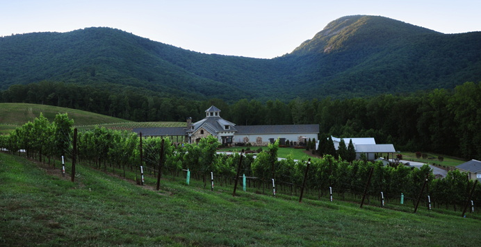 Sip & Repeat: Yonah Mountain Vineyards' Wine Cave Tasting & Tour for Two