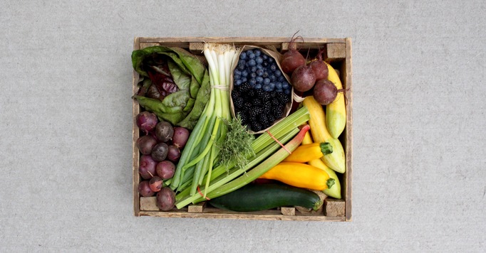 Georgia Grown: 100% Local Produce Farm Basket from Fresh Harvest
