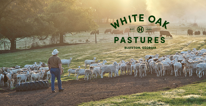 A Fall Farm-to-Table Feast Presented by White Oak Pastures and Savory Institute